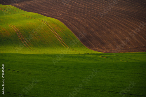 Rolling sunny hills with fields  and trees suitable for backgrounds or wallpapers, natural seasonal landscape. Southern Moravia, Czech republic  © dvv1989