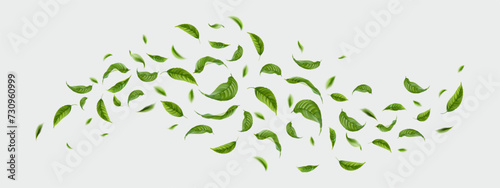 Green tea leaves fall and fly in the air. Vector illustration