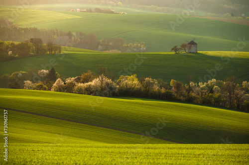 Gorgeous rural landscape with old windmill and green sunny spring hills. South Moravia region, Czech Republic
 photo