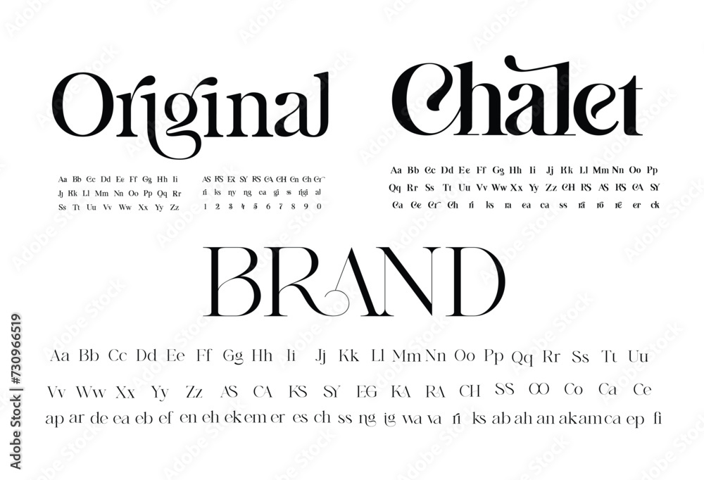 Fototapeta premium Set of elegant fonts. Upper and lower case, set of ligatures. Ideal font for headlines and logos. Vector