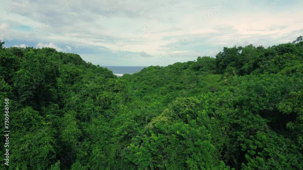 Drone flight over the tropical wilds to the Indian Ocean. Drone flight over the tropical wilds to the Indian Ocean.