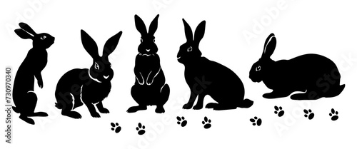 Rabbit Silhouette. Rabbit Vector Illustration.