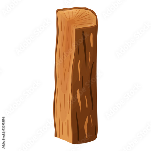 A log, a wooden material, a log in a section.