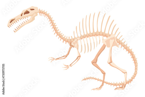 Dinosaur skeleton. Dino monsters icon. Shape of real animal. Sketch of prehistoric reptiles.  illustration isolated on white. Hand drawn sketch © designer_things