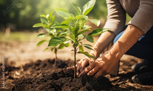 Kneeling Down to Plant a Tree: The Act of Environmental Stewardship and Growth