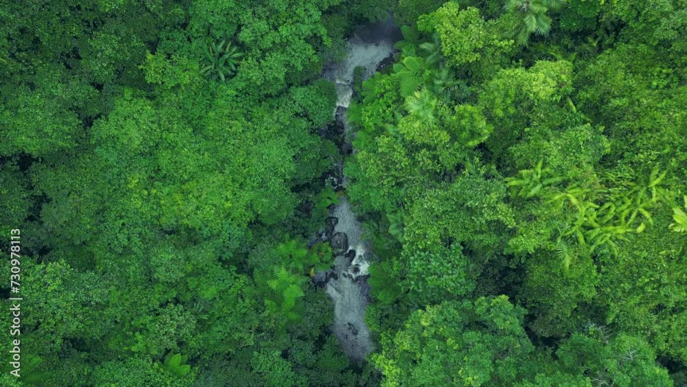 Picturesque aerial view of the river in the rainforest in rainy weather. Picturesque aerial view of the river in the rainforest in rainy weather.