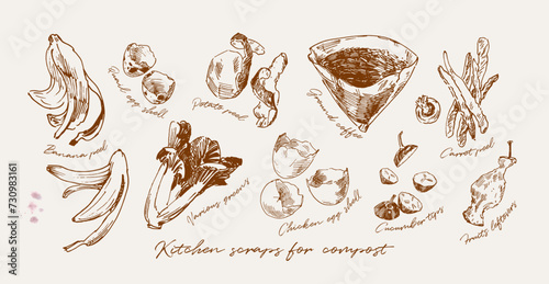 Hand drawn illustration of food scraps suitable for composting. Reducing waste concept