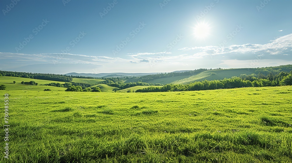 Fototapeta premium Beautiful countryside in Ukraine Europe Summertime nature photo of lush green pastures and clear blue sky Explore Earth s beauty Copy space image Place for adding text or design