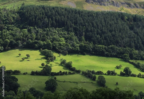 Landscape at Glencar, County Leitrim, Ireland featuring hillside fields of farmland pastures bordered by trees and mountain cliff face in summertime 