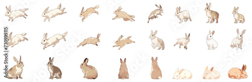 set of illustration of rabbit. isolated on transparent background