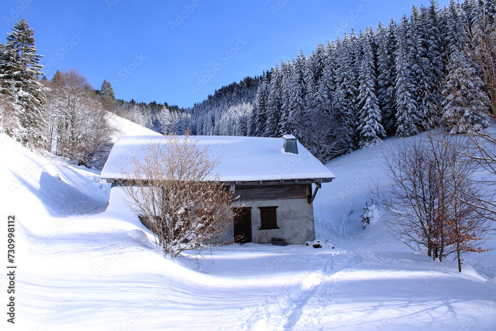 ancienne ferme dans un paysage de neige située à Abondance en Haute Savoie dans les Alpes ancienne ferme dans un paysage de neige située à Abondance en Haute Savoie dans les Alpes