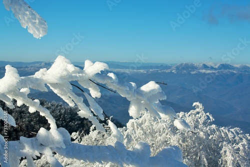Paesaggio innevato sul Monte Carpegna PU Italy photo