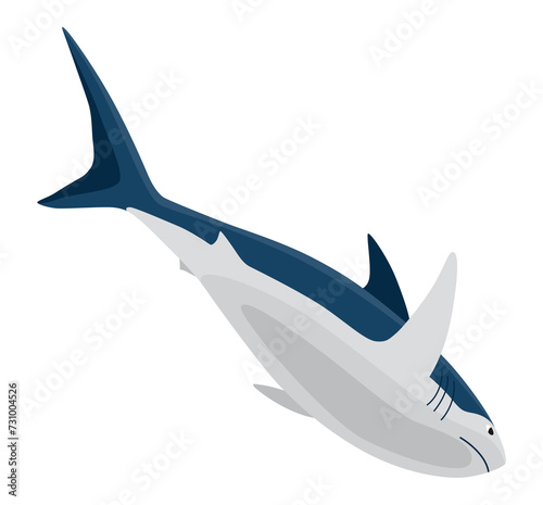 Shark. Marine predator fish character. Underwater wildlife or ocean animal. Cartoon flat isolated icon on white background.  illustration © designer_things