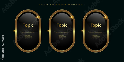 Group of three Luxury, Gold shiny button, metallic golden infographic, vector icon on Dark, plate button of ellipse shape with golden frame vector illustration