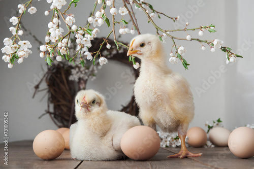 Happy Easter greeting card. Chickens, eggs, spring wreath, blossoming trees..