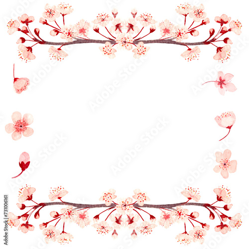 Watercolor hand drawn pink sakura flower branch square frame isolated on white