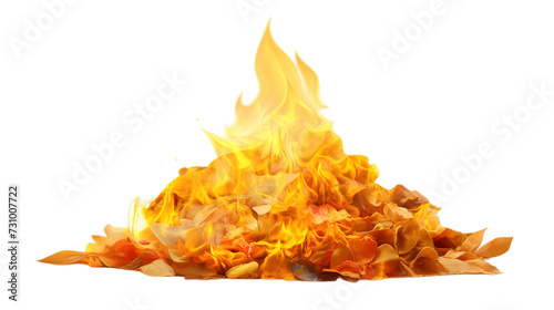 Holika Dahana isolated on transparent background, Generative ai. photo