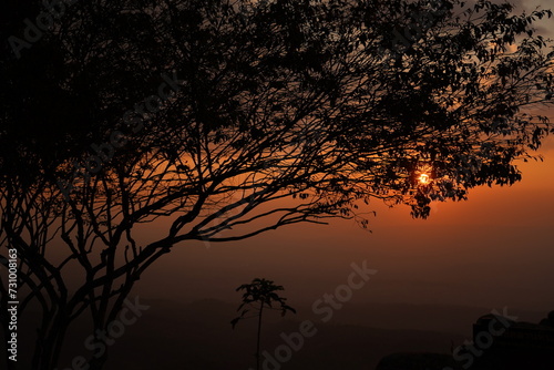 sunset in the forest