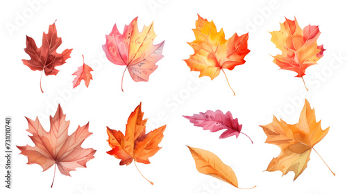 Set of autumn leaves isolated on a transparent background. Watercolor illustration. Clipart PNG