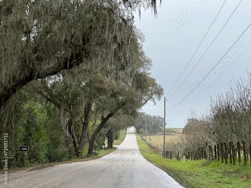 Landscape along rural road near Dade City, Florida