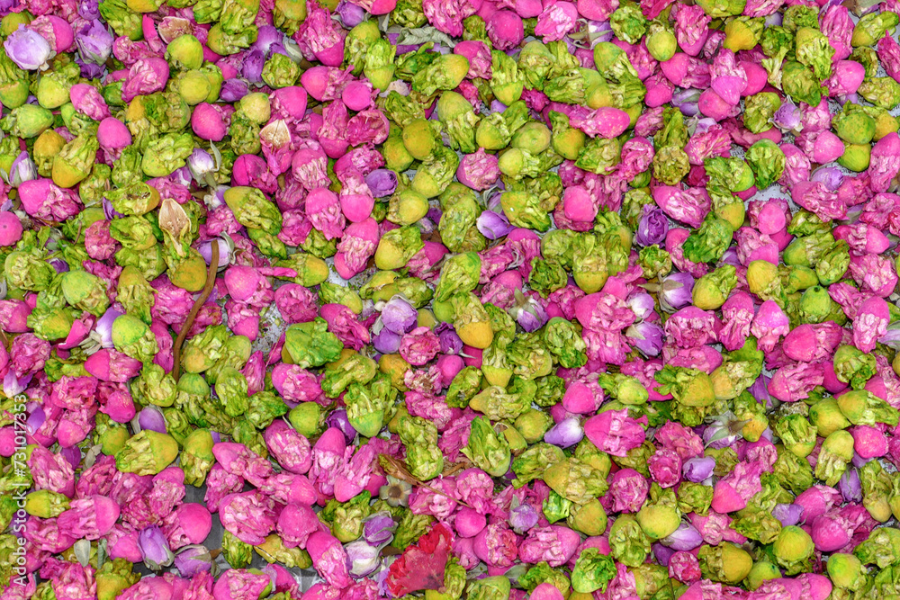 Full frame shot of buds at market stall in Marrakesh, Morocco Full frame shot of buds at market stall in Marrakesh, Morocco