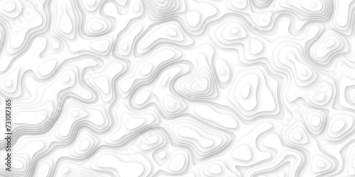 3d render, abstract white paper background. Paper cut vector art background banner texture. multi layer cutout geometric pattern on vector, Abstract soft white background with waves.