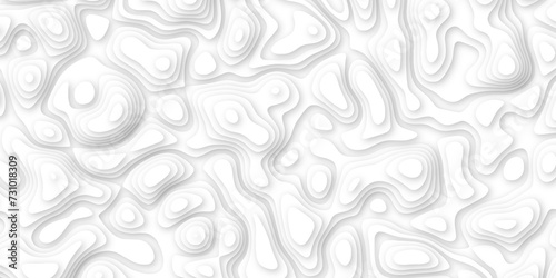 3d render, abstract white paper background. Paper cut vector art background banner texture. multi layer cutout geometric pattern on vector, Abstract soft white background with waves.