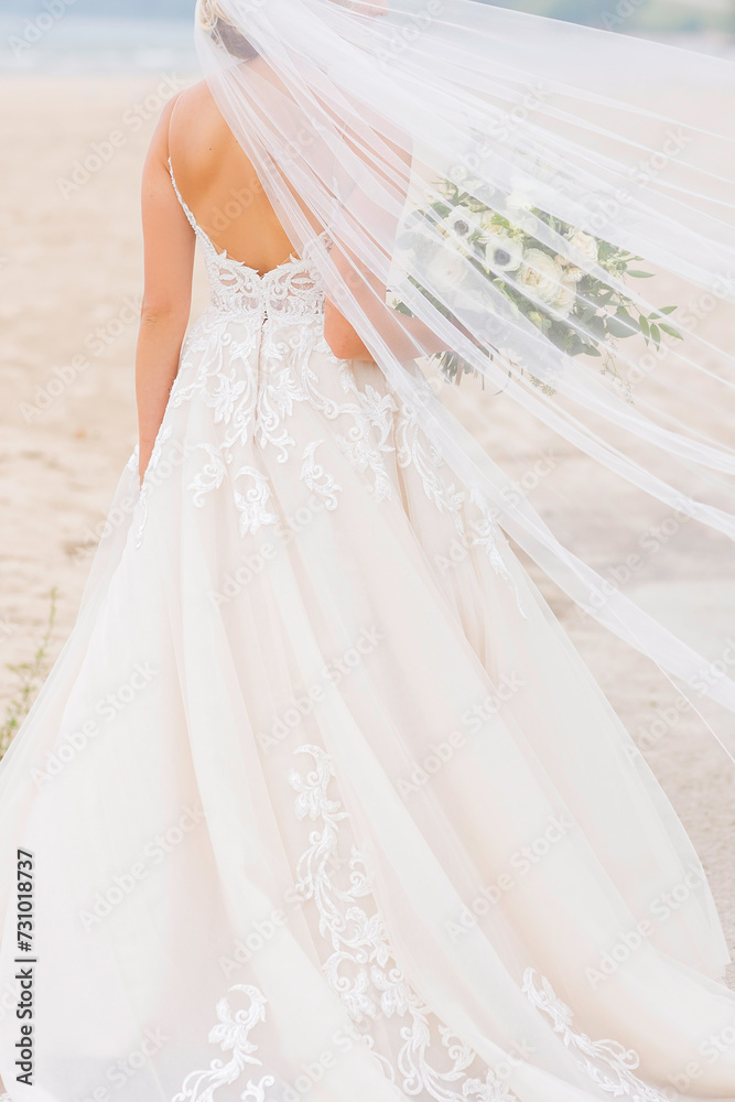 Beach Wedding Bride with Back of Dress Details Beach Wedding Bride with Back of Dress Details