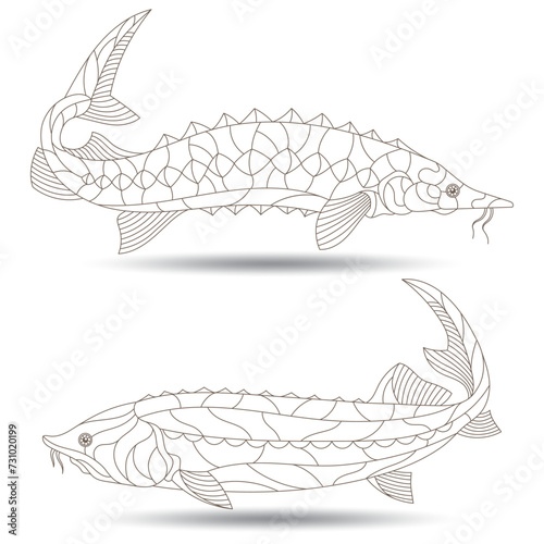 Set of contour illustrations in stained glass style with beluga fishes, dark outlines on a white background