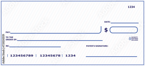Blank Bank Check for Personal and Business Use