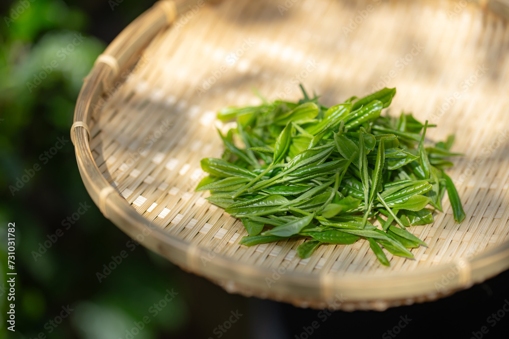 茶葉 茶葉