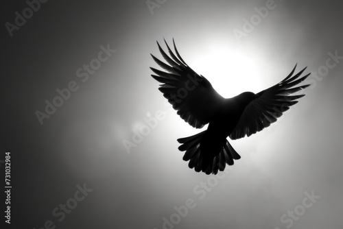 Silhouette of a bird soaring into the sky for freedom.