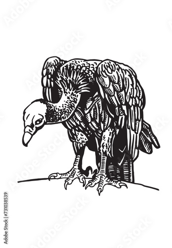 Graphical vulture sits on the branch on white background, vector illustration