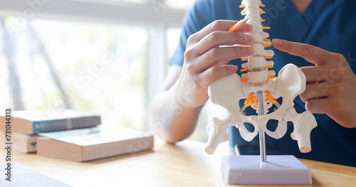 close up physical therapist chiropractor hand pointing on human skeleton at middle back to advise and consult to patient to treatment at office for healthcare concept photo