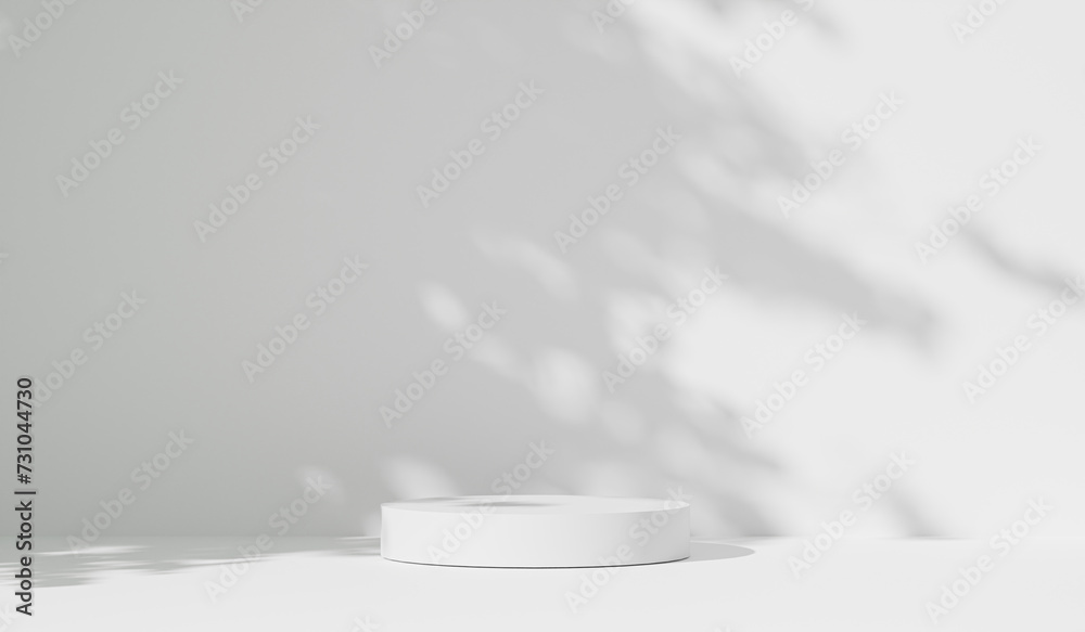 Abstract white studio background for product presentation. cylinder ...