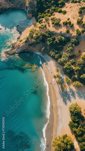 Aerial perspective of a sandy beach adorned with iconic palm trees.