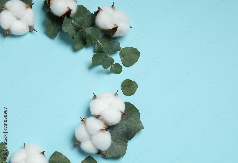 Frame of cotton flowers and eucalyptus leaves on light blue background, flat lay. Space for text