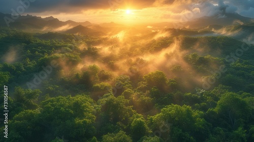 the sun shines through the clouds over a forested area with trees in the foreground and mountains in the background.