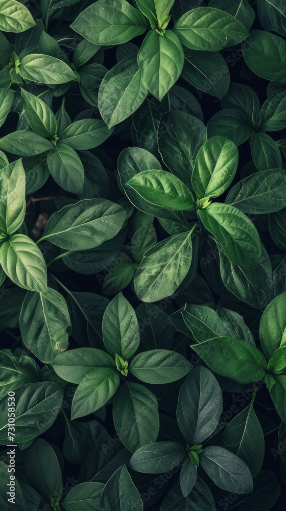 An illustration featuring a full-frame shot of fresh green leaves, creating a natural and vibrant background reminiscent of nature's beauty. An illustration featuring a full-frame shot of fresh green leaves, creating a natural and vibrant background reminiscent of nature's beauty.