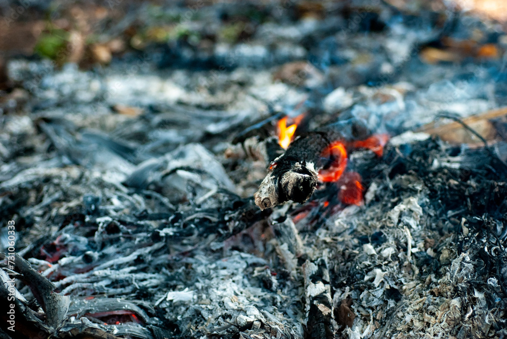 Close up of the pile of vines. After the burning of the log on blurred background. Close up of the pile of vines. After the burning of the log on blurred background.