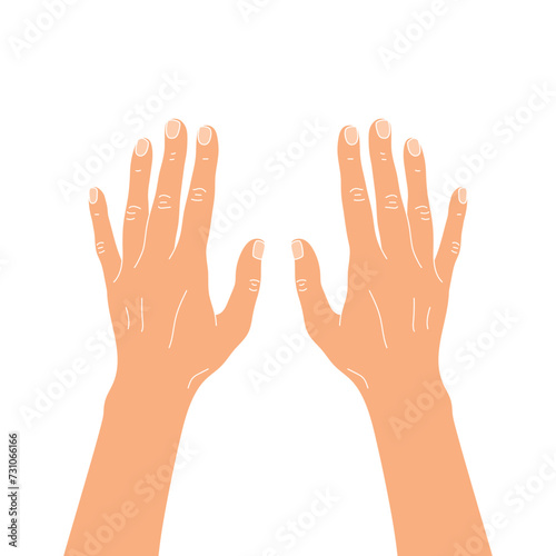 Arms extended forward. Back of hand. Vector illustration