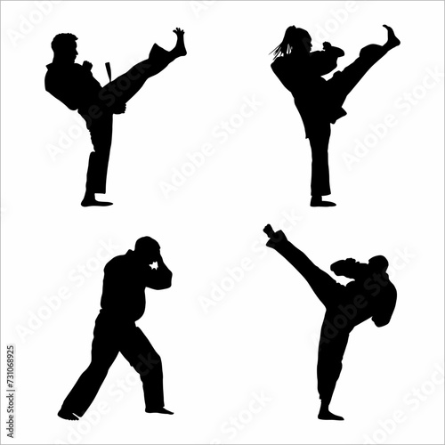 Collection of martial arts silhouettes