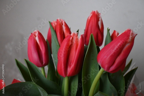 Mazzo di fiori rossi  photo