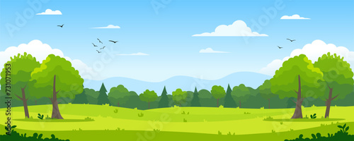 Beautiful landscape. Green summer forest clearing with grass and trees against the backdrop of a mixed forest of pine trees, hills, birds in the blue sky and clouds. Vector illustration for design.