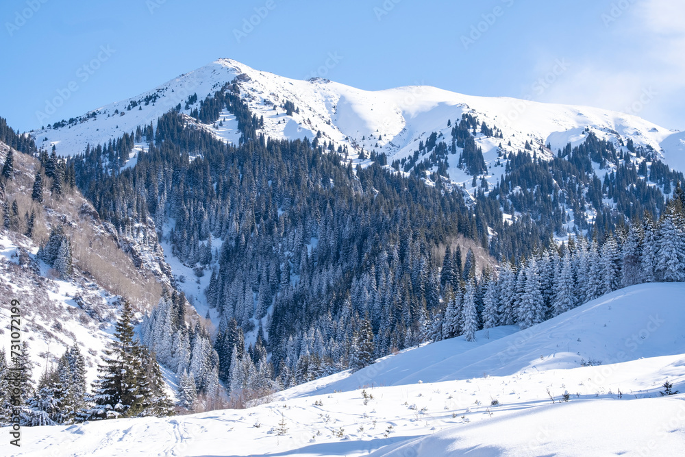 Winter landscape in the mountains not far from Almaty.