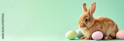 banner with a cute ginger little rabbit sitting on a soft light green background to the right of center and looking to the center. Easter pastel colors eggs lie to the left of the bunny © Anastasiia S
