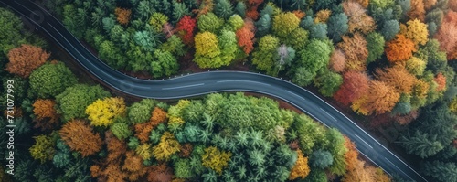 An elevated view of a road winding through a forest during autumn.