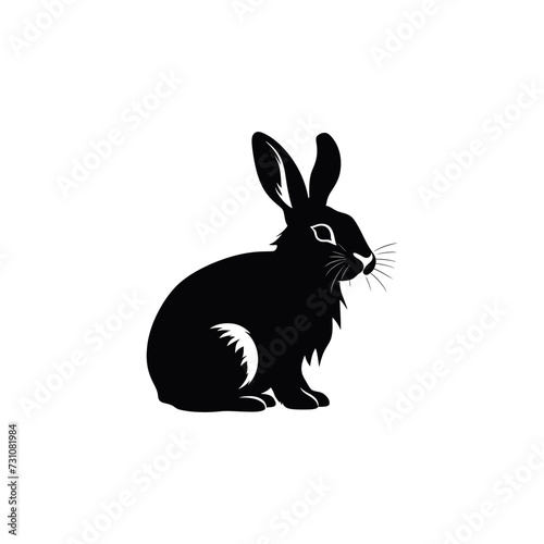 Focus on the illustration with the black silhouette of a rabbit against a white background.