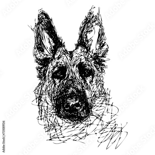 Messy line drawing of a belgian shepherd dog's face