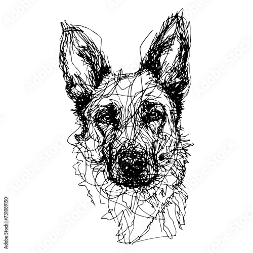 Messy line drawing of a belgian shepherd dog's face